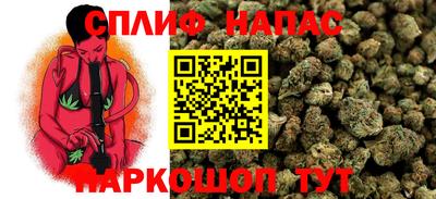 прущий лед Будённовск