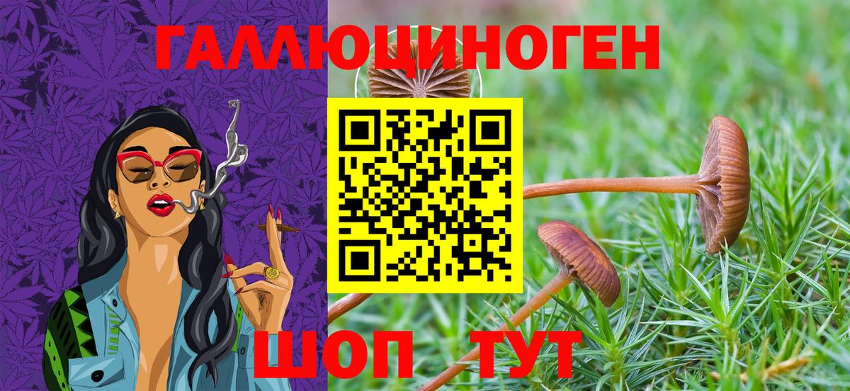 Якутск  Галлюциногенные грибы Psilocybe  Вход с VPN 