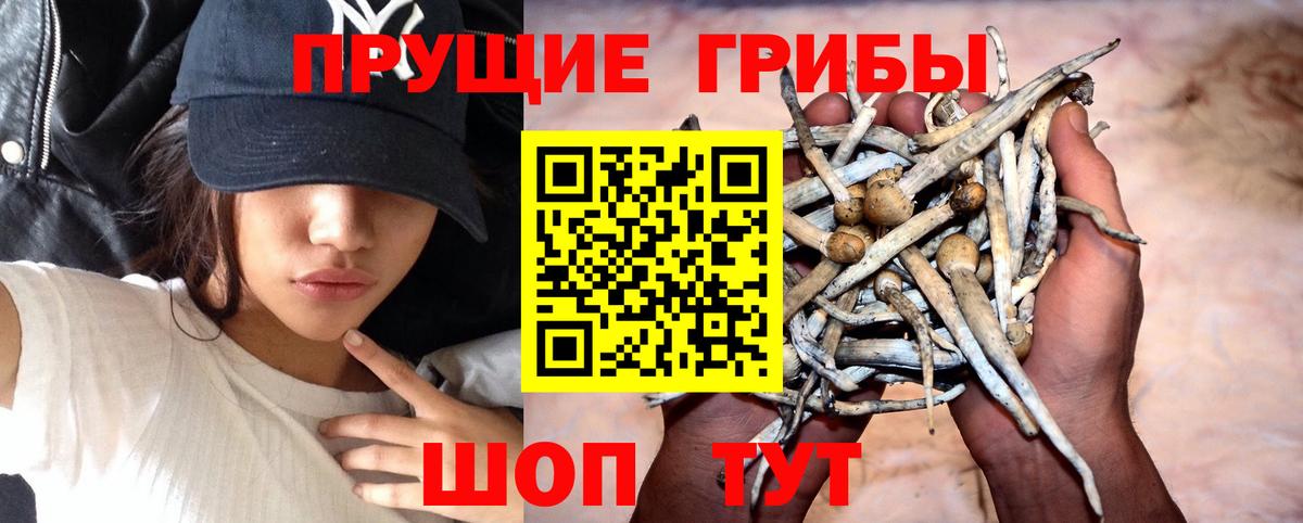 Галлюциногенные грибы GOLDEN TEACHER Якутск